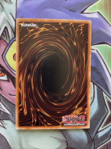 DR3-EN153 Rescue Cat Common UNL Edition NM Yugioh Card (back)