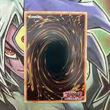 SDD-E001 Seiyaryu Secret Rare Unlimited Edition NM Yugioh Card