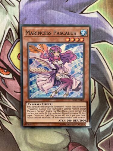 IGAS-EN093 Marincess Pascalus Super Rare Unlimited Edition NM Yugioh Card