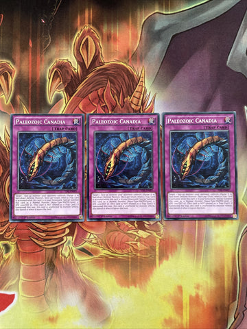 TDIL-EN097 3x Common Paleozoid Canadia 1st Edition Yugioh