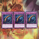 TDIL-EN097 3x Common Paleozoid Canadia 1st Edition Yugioh