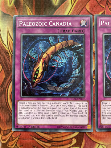 TDIL-EN097 3x Common Paleozoid Canadia 1st Edition Yugioh (back)