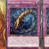 TDIL-EN097 3x Common Paleozoid Canadia 1st Edition Yugioh