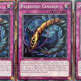 TDIL-EN097 3x Common Paleozoid Canadia 1st Edition Yugioh