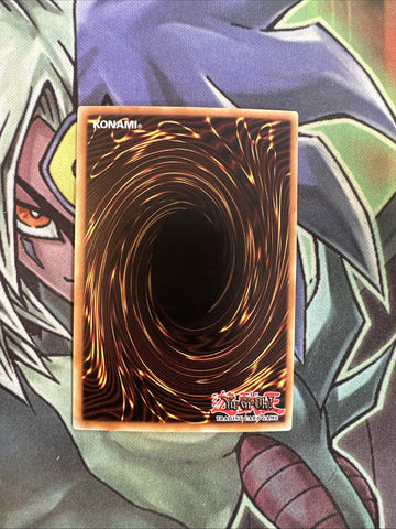 PSV-E049 Harpie's Brother Common 1st Edition NM Yugioh Card (back)
