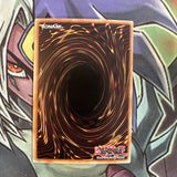 PSV-E049 Harpie's Brother Common 1st Edition NM Yugioh Card