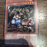 MP15-EN018 Traptrix Dionaea Rare 1st Edition Near Mint YuGiOh Card
