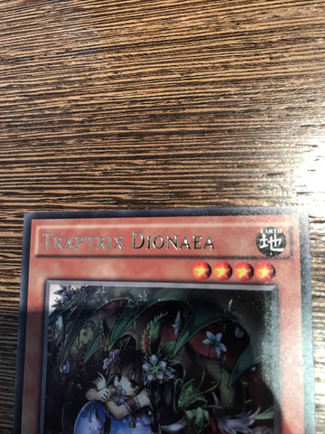 MP15-EN018 Traptrix Dionaea Rare 1st Edition Near Mint YuGiOh Card (back)