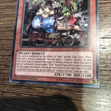 MP15-EN018 Traptrix Dionaea Rare 1st Edition Near Mint YuGiOh Card