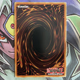 SDPD-EN029 Allure Of Darkness Common 1st Edition NM Yugioh Card