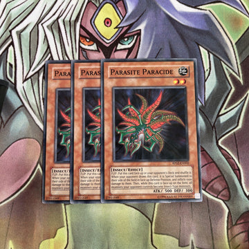 RP02-EN002 x3 Parasite Paracide Common Excellent Conditon Yugioh