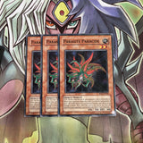 RP02-EN002 x3 Parasite Paracide Common Excellent Conditon Yugioh
