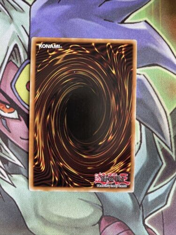 RYMP-EN043 Crystal Besat Topaz Tiger Super Rare 1st Edition NM Yugioh Card (back)