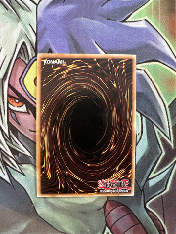 CROS-EN051 Madolche Puddingcess Chocolat-A-La-Mode Ultra Unl Ed NM Yugioh Card (back)