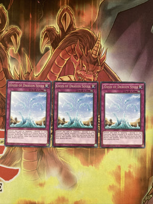 NECH-EN077 x3 Oasis of Dragon Souls Rare 1st Edition LP YuGiOh Card