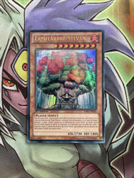 Smirking Gnome