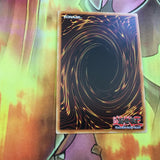 NECH-EN050 / MP15-EN162 First Of The Dragons - Mixed Edition - Yugioh