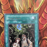 TAEV-EN052 Yugioh! Snake Rain 1st Edition Rare