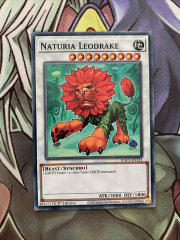 HAC1-EN121 Naturia Leodrake Duel Terminal 1st Edition NM Yugioh Card