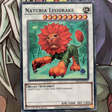 HAC1-EN121 Naturia Leodrake Duel Terminal 1st Edition NM Yugioh Card