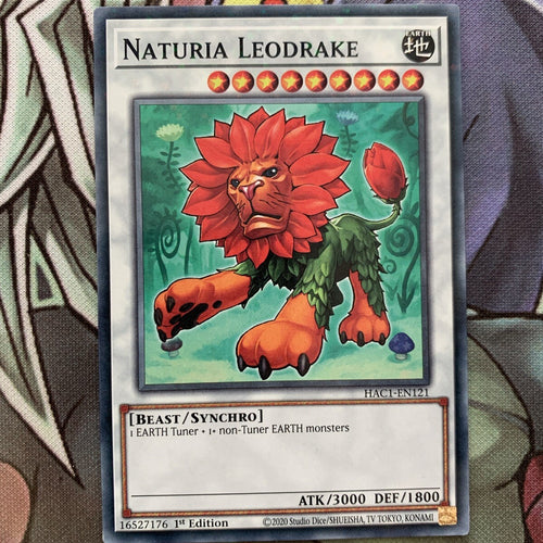 HAC1-EN121 Naturia Leodrake Duel Terminal 1st Edition NM Yugioh Card
