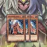 DREV-EN030 x3 Amazoness Sage Common Excellent Condition Yugioh