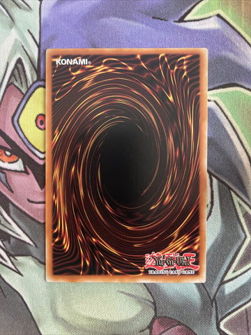 SRL-010 Ameba Rare Unlimited Edition NM Yugioh Card (back)
