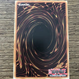 AP05-EN016 HANEWATA  ENGLISH Yugioh! CARD NM-VG