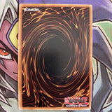 DIFO-EN036 Starving Venom Predapower Fusion Dragon 1st Edition NM Yugioh Card