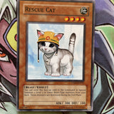 CP05-EN015 Rescue Cat Common Champion Pack NM Yugioh Card