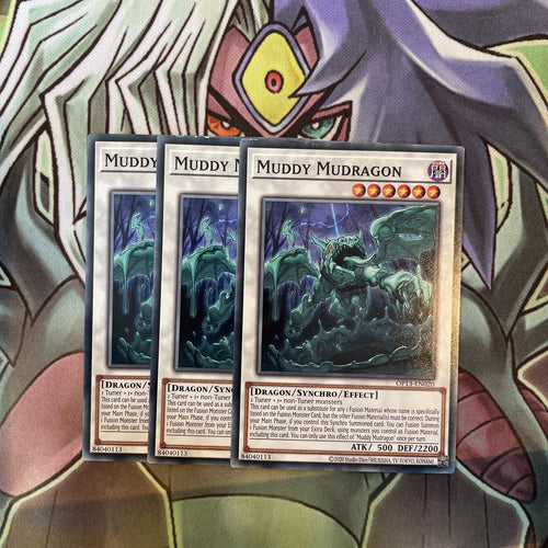 OP13-EN020 Muddy Mudragon Common x3 Excellent Condition Yugioh