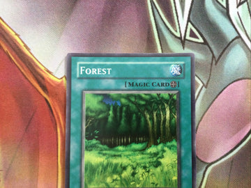 lob-e036 Forest 1st Edition (MINT/NM) Common Yugioh! (back)