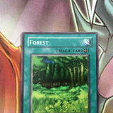 lob-e036 Forest 1st Edition (MINT/NM) Common Yugioh!