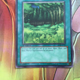 lob-e036 Forest 1st Edition (MINT/NM) Common Yugioh!