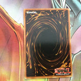 lob-e036 Forest 1st Edition (MINT/NM) Common Yugioh!