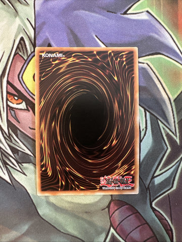 RATE-EN007 Windwitch - Ice Bell Ultra Rare 1st Edition NM Yugioh Card (back)