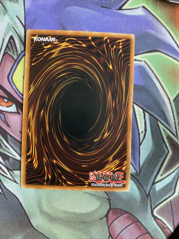 DR1-EN076 Neko Mane King Common Unlimited Edition NM Yugioh Card (back)