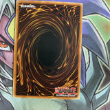 DR1-EN076 Neko Mane King Common Unlimited Edition NM Yugioh Card