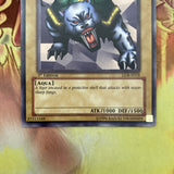lob-e018  Turtle Tiger 1st Edition (EXC) Common Yugioh!