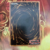 lob-e018  Turtle Tiger 1st Edition (EXC) Common Yugioh!