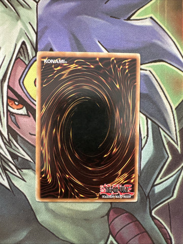 MDP2-EN005 Mist Body Rare Limited Edition NM Yugioh Card (back)