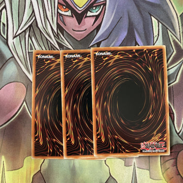 BLHR-EN012 x3 Vision Fusion Secret Rare Excellent Condition Yugioh (back)