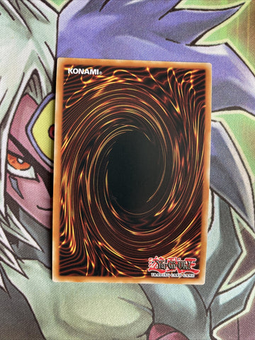 OP10-EN006 Salamangreat Mole Super Rare UNL Edition NM Yugioh Card (back)