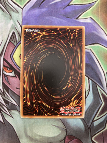 ROTD-EN018 Melffy Catty Super Rare 1st Edition NM Yugioh Card (back)