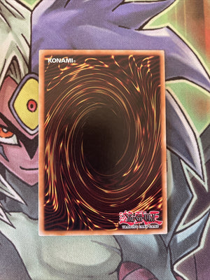 EXFO-EN020 Mekk-Knight Purple Nightfall Secret Rare UNL Edition NM Yugioh Card (back)