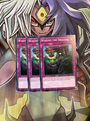 Smirking Gnome