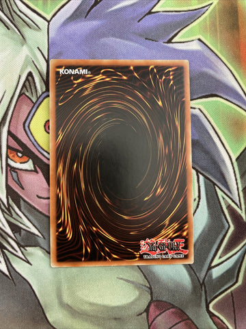TSHD-EN018 Bird Of Roses Super Rare UNL Edition NM Yugioh Card (back)