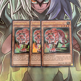LCJW-EN089 x3 Amazoness Tiger Ultra Rare Excellent Condition Yugioh