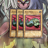 MRD-E023 x3 Petit Moth Common Excellent Conditon Yugioh