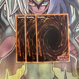 MRD-E023 x3 Petit Moth Common Excellent Conditon Yugioh